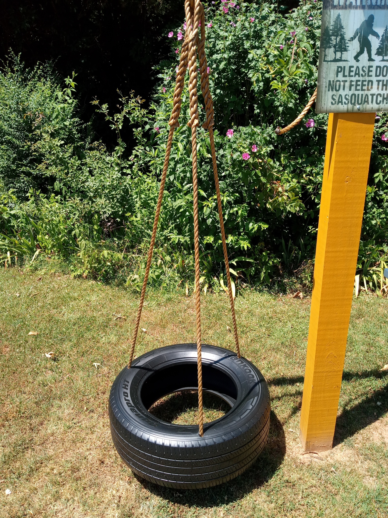 Horizontal Tire Swing